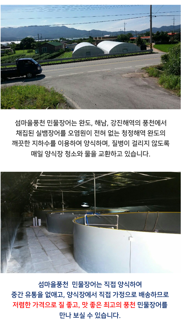 섬마을민물장어직판장 전남민물장어 풍천민물장어   