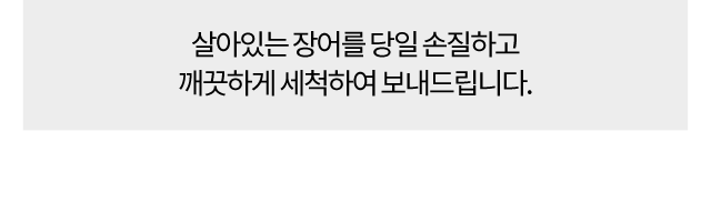 섬마을민물장어직판장 전남민물장어 풍천민물장어 