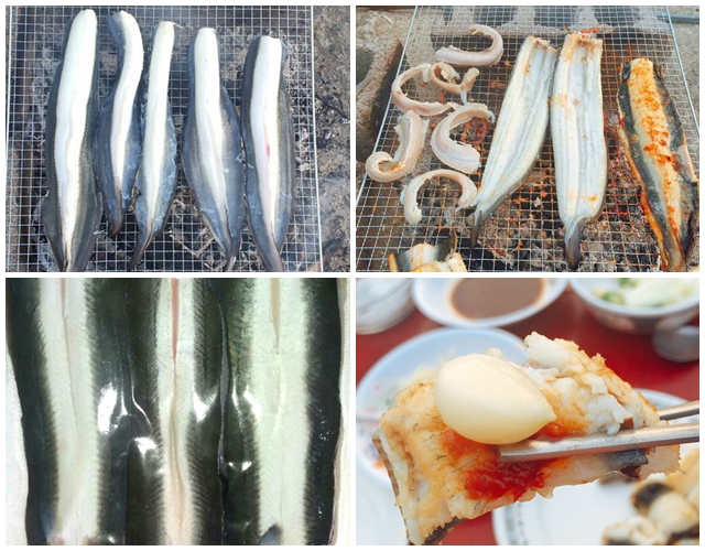 섬마을민물장어직판장 전남민물장어 풍천민물장어 